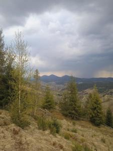a view of a hill with trees and mountains at Подих Карпат in Volosyanka