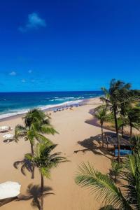 a beach with palm trees and the ocean at Style and lightness 300m from the beach in Salvador