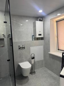 a bathroom with a toilet and a shower at Samarkand Central Apartments in Samarkand +22 photos