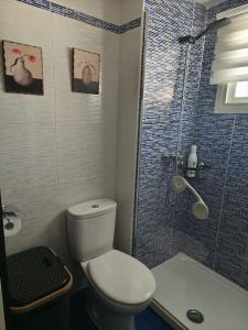 een kleine badkamer met toilet en douche bij Erisa I in Torremolinos