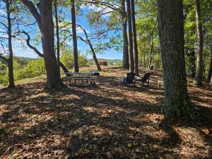 a picnic table and benches in a park with trees at The Hocking Hills Store Campsite #3 in Logan