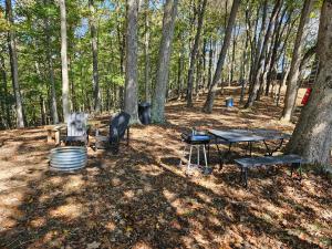 a campsite with a grill and a picnic table in the woods at The Hocking Hills Store Campsite #3 in Logan
