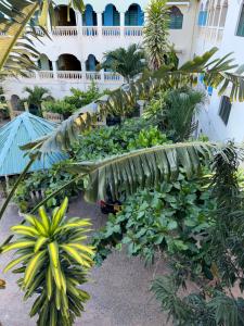 Κήπος έξω από το RainesHouse +8 φωτογραφίες