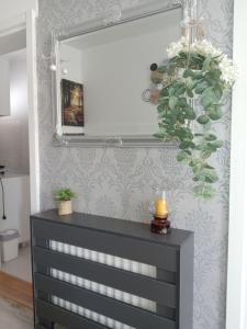 Vrnjačka BanjaにあるApartmani Nanaの鏡付きドレッサー
