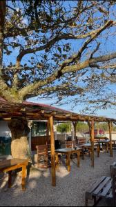 Un grupo de mesas de picnic de madera debajo de un árbol. en Dragonfly Beach House Quatro Ilhas, en Bombinhas
