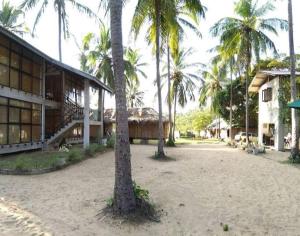 un complejo con palmeras y un edificio en Diyamba Beach Resort kalpitiya, en Kalpitiya