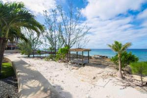 - une plage avec un banc, des arbres et l'océan dans l'établissement Casa Luna 5 - Limited-Time Deal for Families on This Spacious Beach Villa, à George Town