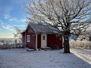 a red house with a tree in the snow at Charming cottage outside Norrköping in Åby