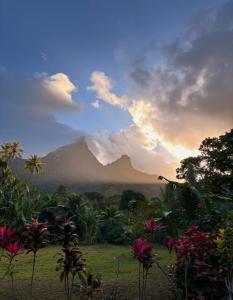 Un paisaje natural cerca de la casa vacacional