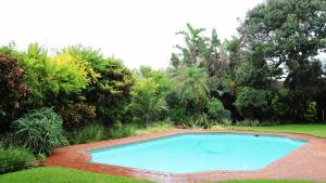 a swimming pool in a yard with trees at Milkwood Tranquil Beach Cottage, Euphoric Leisure in Durban