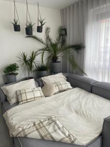 a large bed in a room with potted plants at Bývaj u Mari v mestskom parku s bezplatným parkovaním in Piešťany