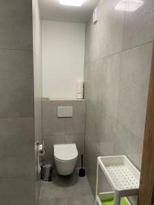 Un pequeño baño con inodoro y ducha. en Święty Spokój, en Gdansk