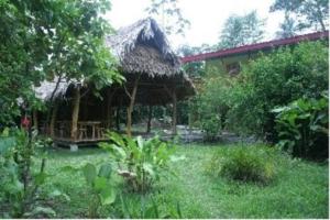 a hut with a grass roof in a garden at Blue Conga in Puerto Viejo