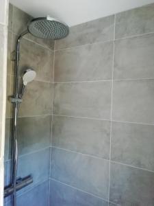 a shower with a shower head in a bathroom at Maison Carn Portsall in Ploudalmézeau +12 photos