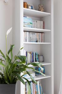 a book shelf filled with books with a potted plant at Maison Carn Portsall in Ploudalmézeau