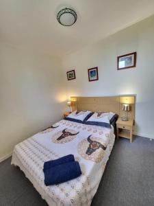 a bedroom with a bed with two blue pillows on it at Havre de paix à Azay-le-Rideau - piscine chauffée in Azay-le-Rideau