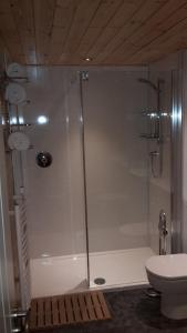 a shower with a glass door in a bathroom at Sòghail Luxury Lodge and Balquhidder Mhor with Hot Tub in Kingshouse