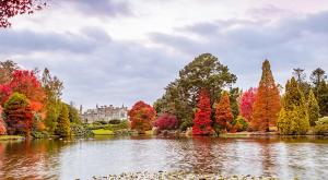 a pond with colorful trees in front of a building at Seabreeze Hideaway By Kozmo - Cozy 2-Bed Bungalow in Brighton near the Beach With Free WiFi & Terrace by Kozmo Properties in Brighton & Hove
