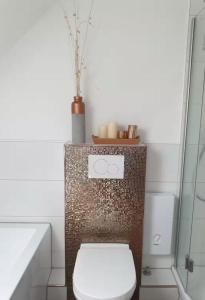 une salle de bain avec toilettes et douche dans l'établissement Licata Trade fair accommodation - Messezimmer, à Düsseldorf