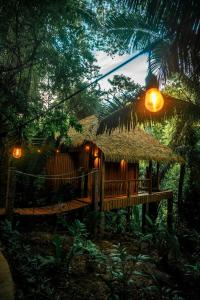 a cabin in the woods with a thatch roof at Sweet Songs Jungle Lodge in San Ignacio