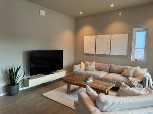 Μια τηλεόραση ή/και κέντρο ψυχαγωγίας στο The apartment in the middle of Lofoten