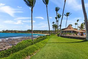 a path next to the beach with palm trees at Napili Shores F145 in Kapalua