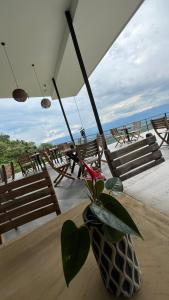 a vase with a plant in it on a table at ZOI Eco Hotel y Glamping in Manizales +79 photos