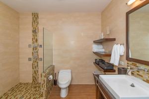 a bathroom with a toilet and a sink and a shower at Pomegranate Cottage in West Bay
