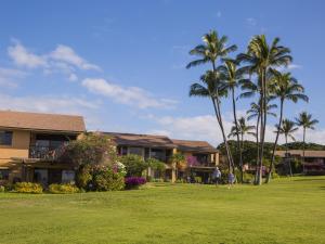 Κήπος έξω από το Wailea Ekahi Village 18C
