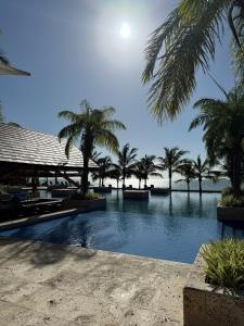 una piscina con palmeras y el océano en Buenaventura Luxury and Modernity Apartment, en El Chirú