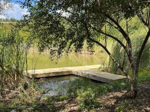 un puente de madera sobre un estanque en un campo en Block of 5 Lodges at Eden Reserve - For Groups, en Williamstown