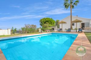 a swimming pool in front of a house with a palm tree at Casa del Barco Villa with Private Retreat Vibes in Guaro