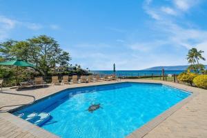 a swimming pool with a turtle in the water at Napili Point A9 · NP A9 OceanFront 1BD Tropical Getaway w Ocean in Kahana