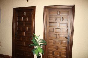 eine Tür und eine Pflanze davor in der Unterkunft Hotel Restaurante Atalaya in Comares + 14 Fotos