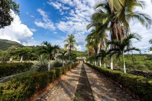 a cobblestone road with palm trees on either side at Dorado hotel boutique in Tocaima