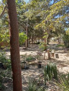 a park with a hammock and tables and trees at Casa Baunilha in Cavalcante