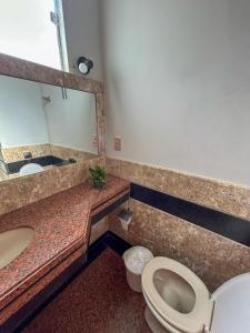 a bathroom with a toilet and a sink and a mirror at Casa em Escarpas do Lago in Capitólio +4 photos