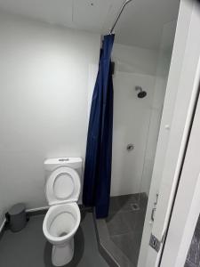 a bathroom with a toilet and a blue shower curtain at Princeton 30 Symonds Street in Auckland
