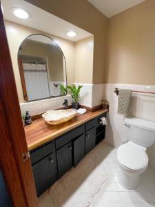 a bathroom with a sink and a toilet and a mirror at Bohemian Oasis in Cudahy