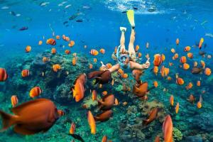 a woman swimming in the ocean with a school of fish at Menehune Shores 403 · MHS 403 Remodeled BeachFront 2BD Getaway in Kihei