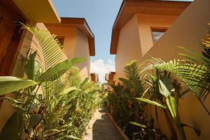 a garden with plants next to a building at Enn Collection in Kuta Lombok