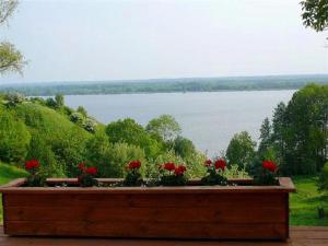 a wooden planter with red flowers and a view of a lake at Pod Zachrypniętym Kogutem in Glewo