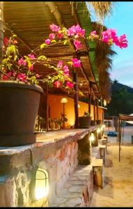 a stone wall with flowers inpots on a building at playa pescador apart hotel in Santa Fe