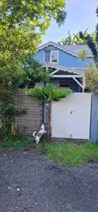 a cow leaning against a fence in front of a house at Bambou971 in Le Gosier