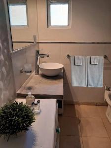 a bathroom with a bowl sink on a counter at La Quebradita-Tafi del Valle in Tafí del Valle