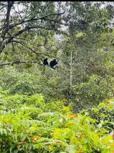 Fotografie z fotogalerie ubytování Casa Nube Resort Munnar v destinaci Munnar + 36 fotografií