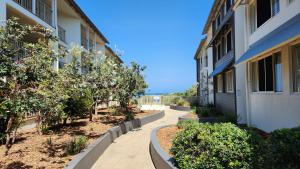 a walkway between two buildings with trees and bushes at Whalewatch Ocean Beach Resort in Point Lookout