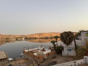 a body of water with a house and palm trees at Seko Kato Nile View Hostel in Aswan