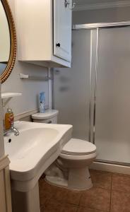 リチャードソンにあるFamily Comfort Retreat & Spacious Yardのトイレ、洗面台、シャワー付きのバスルーム