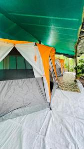 un grupo de tiendas sentadas en un campo en EarthWise Camping, en Kalpetta 5 fotos más